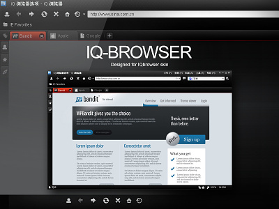 IQ browser skin design（2009） browser busywait design gui ui