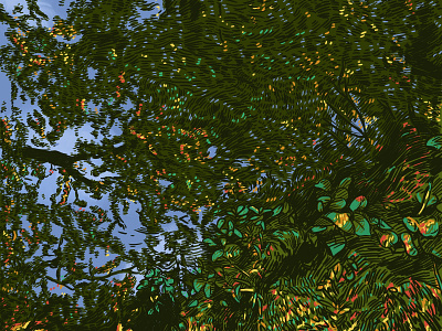 reflected forrest