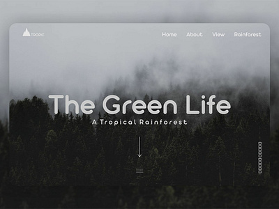 Tropical app design flat type ui ux web website