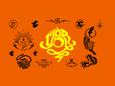 Tygr Style Sheet california cannabis logo design exploratory graphic art handlettering icon illustration logo photoshop socal styleguide stylesheet sun typography vector