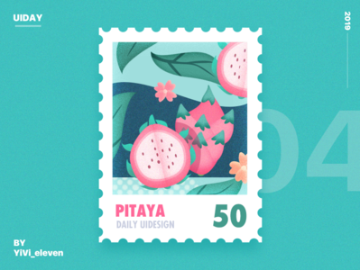 pitaya color design fruit illustration ui
