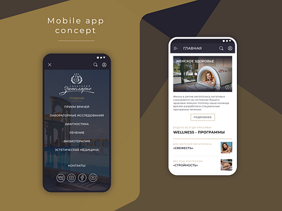 Mobile app concept