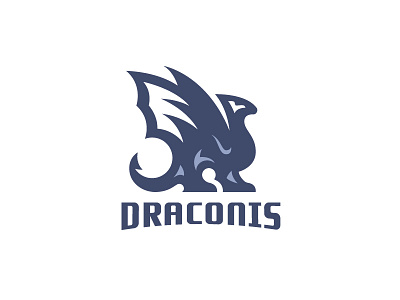 Dragon animal beast branding dracaris draco dragon dragon brand dragon design dragon logo dragonfly dragons fire illustration logodesign logodesigner mark mythology