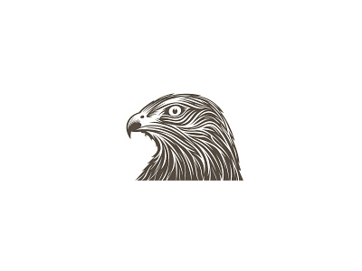 Hawk illustration (client work) art bird eagle hawk hunt illustration lines logo retro vintage
