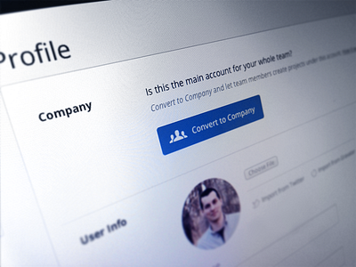 Convert to Company account avatar blue button company invision profile settings team users