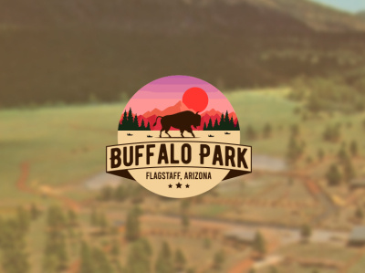 Buffalo Park Badge Sticker Patch Logo design (unused)