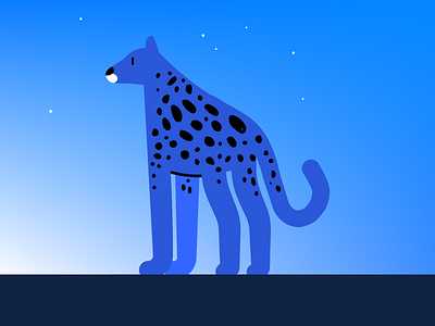 Panther animal blue desert illustrator night panther vector