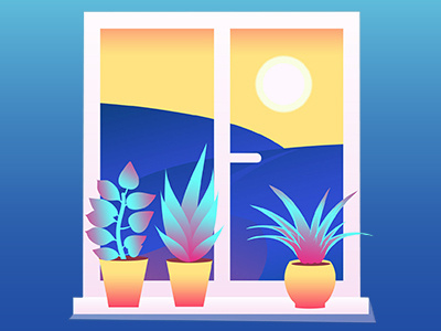 Illustration blue colors design flat gradient illustration orange pink plants vector web window yellow