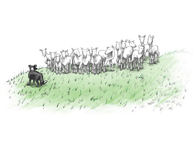 Reclaiming Social a list apart dog herding illustration sheep