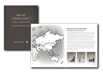 PriceWaterhouse Regional Report brochure design illustration print