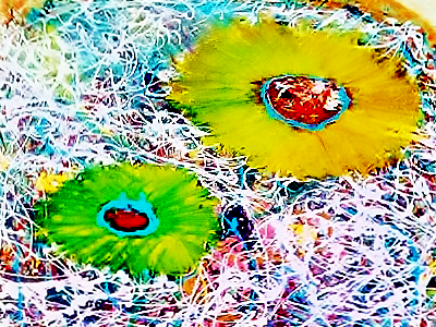 Blooming Spirituality abstract abstract artist art artist modern art painting