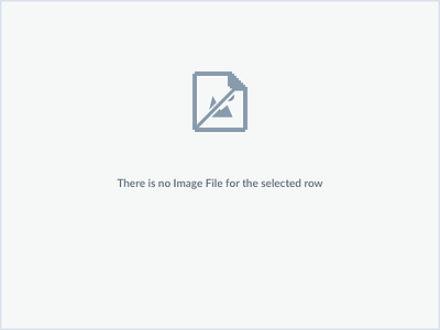 No Image File document iconography icons pixel