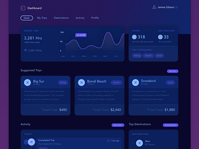 Travel Dashboard Detail app charts dashboard data design product sketch ui ui design ui kit ux vector web web design website