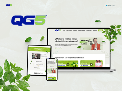 QG5 ui ux webdesign