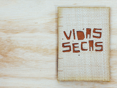 Vidas Secas book handmade illustration