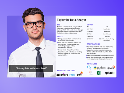 Data Analyst User Persona persona user persona ux ux research