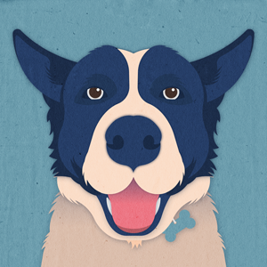 Vector Akita Portrait animal illustration portraits vector