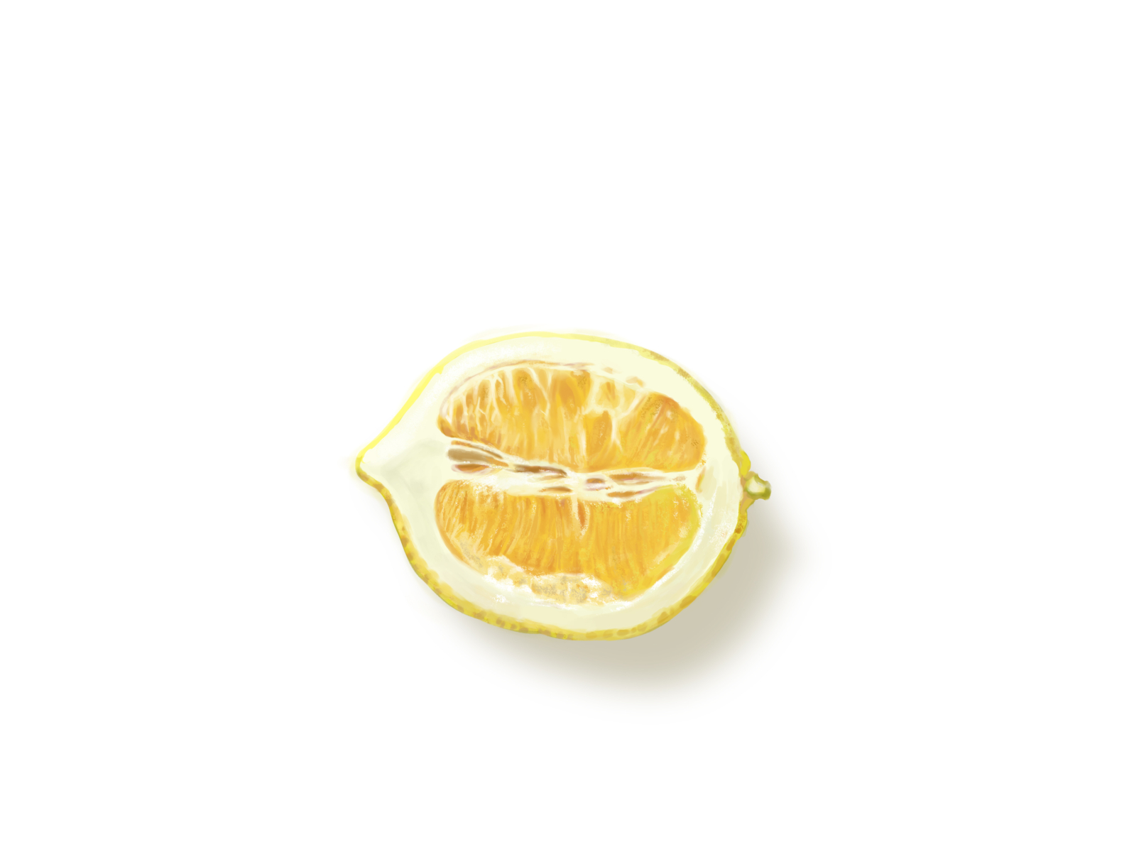 切水果 ps厚涂 ps插画 插图 板绘 水果 白色 练习 黄色