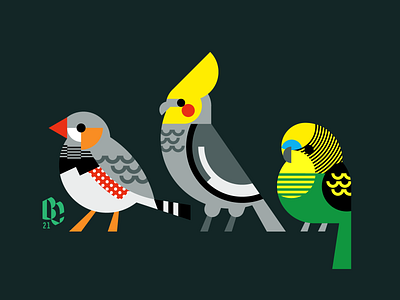 House Boyds birds design flat illustration shapes vector