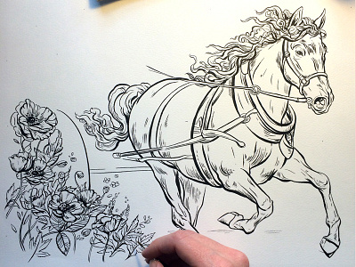 Horse and Poppies book drawing flowers horse illustration ink jane austen poppies poppy process