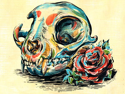 Day of the Dead - Cat Skull Altar art cat day of the dead día de los muertos flower illustration illustrations ink mexico paint rose skeleton skull texture toronto uno