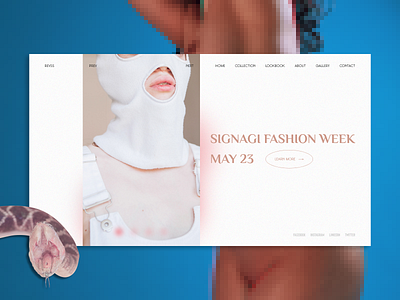 Revss blue fashion georgia kiss pink signagi snake tbilisi ui uidesign ux web week