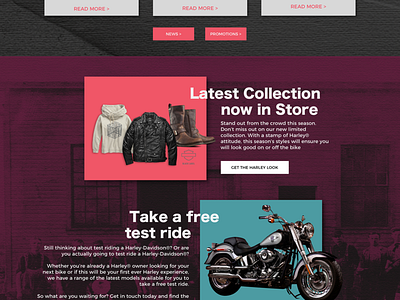 Web Design - Harley Davidson