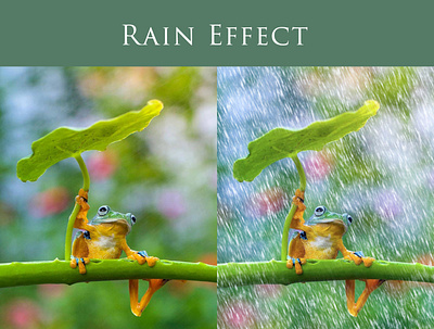 Rain Effect effects frog manipulation modify rain