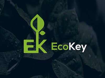 EcoKey animation app brand identity clean icon lettering logo minimal typography ux vector web