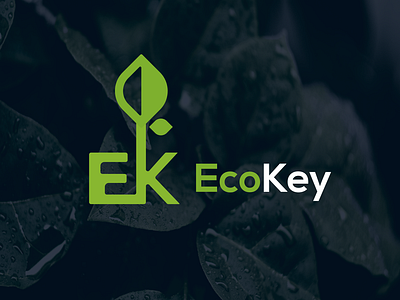 EcoKey