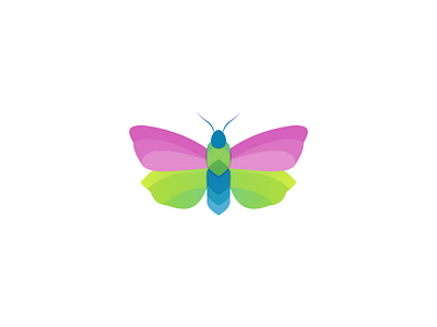 Butterfly animal colorfull gradient overlapping illustration logo