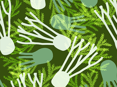 Fennel design illustration