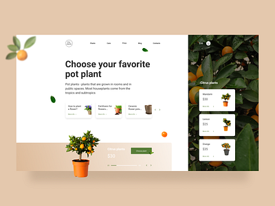 E-commerce concept design ecommerce figma product card typography ui ux website