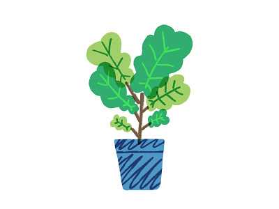 Fiddley Fig drawing experiment graphic design houseplants illustration photoshop plants truegritsupply wip