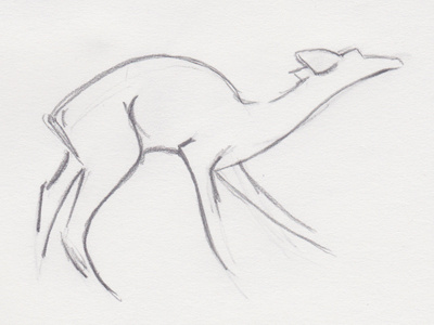 Deer Sketch for Logo animal drawing sketch