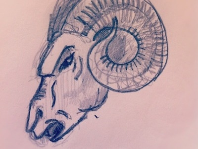 Ram Sketch for Wine Label aries ram sheep sketch wine label