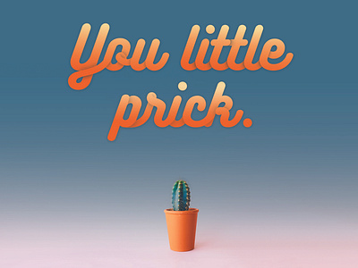 You little prick. cactus colorful design gradiant minimal puns scale script typography