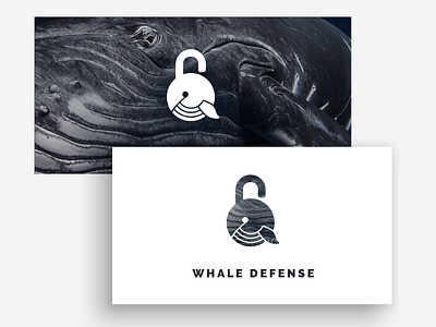 Whale Defense Logo Presentation branding illustrator logo design minimal photography photoshop