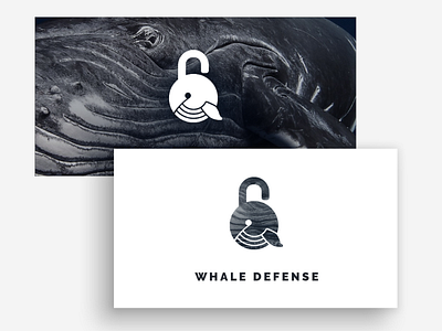 Whale Defense Logo Presentation