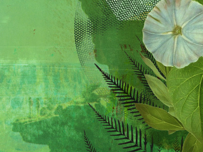 Botanical Collage botanical collage design illustration