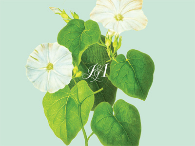 J & A invitation layout 2 revised botanical collage design illustration wedding