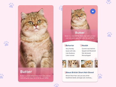 Daily UI 006 - User Profile animals app design cats cute cute animals dailyui dailyuichallenge design icon iphonex mobile mobile app paws pets pink responsive ui user experience ux visual design