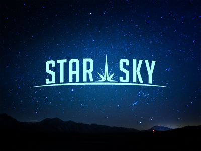 Star sky media agency logo