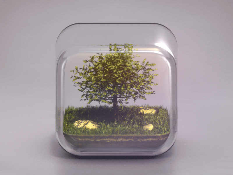 Terrarium 3d buatoom cube glass gloss grass icon plants rock soil tree wind
