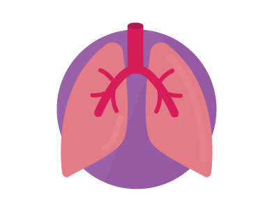 Lungs flat icon illustration lungs