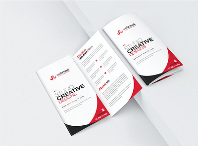 Tri-fold brochure design branding business card character clean design identity illustration illustrator lettering typography