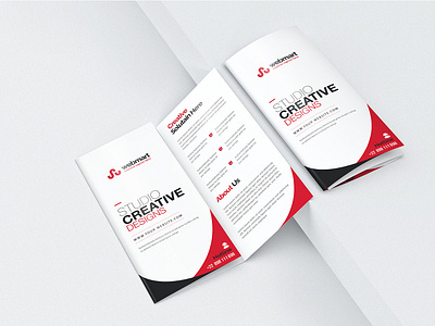 Tri-fold brochure design