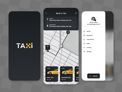 Online Taxi Booking App Concept