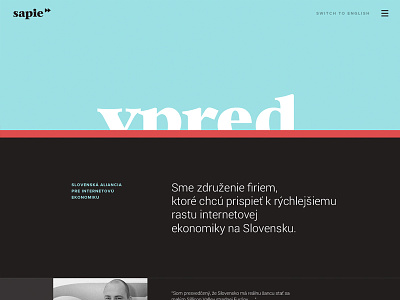 WIP of web + indentity for Slovak Alliance for Internet economy dark landingpage minimal page simple typography webdesign