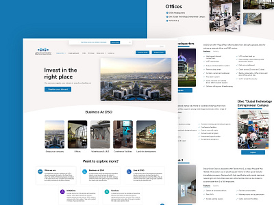 Dubai Silicon Landing page design